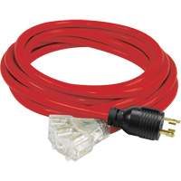 Rallonge pour g&eacute;n&eacute;ratrice avec triple fiche, STW, AWG 10, 3 prise(s), 25' Advanced Consulting and Training Ltd.