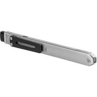 Lampe de poche Wedge SL avec couvercle, 500 lumens, Piles Rechargeable Advanced Consulting and Training Ltd.