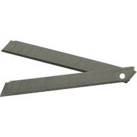 Replacement Blade, Snap-Off Style Advanced Consulting and Training Ltd.