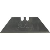 Replacement Blade, Single Style Advanced Consulting and Training Ltd.