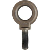 Boulon &agrave; œil, 3/4" dia, 1" lo, Fini naturel sans enduit, 650 lb (0,325 tonne) capacit&eacute; Advanced Consulting and Training Ltd.