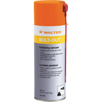 Lubrifiant d&eacute;grippant Bolt-Out, Canette a&eacute;rosol Advanced Consulting and Training Ltd.