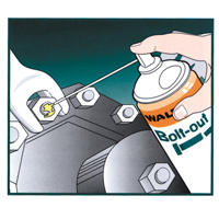 Lubrifiant d&eacute;grippant Bolt-Out, Canette a&eacute;rosol Advanced Consulting and Training Ltd.