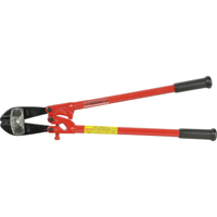 Coupe-boulons de cat&eacute;gorie industrielle, 24" l, Coupe centrale Advanced Consulting and Training Ltd.
